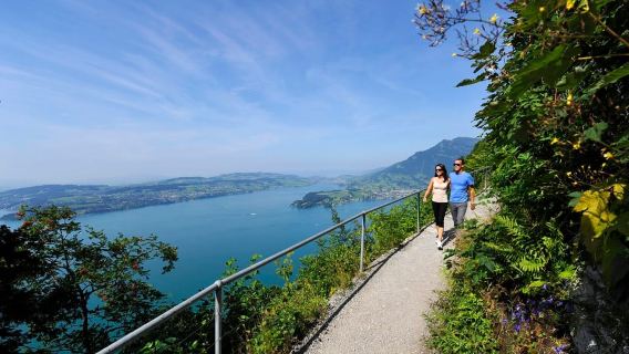 Desde Zúrich: funicular al monte Bürgenstock y al lago de Lucerna