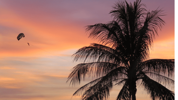 Roatan: Parasailing Adventure's at West Bay Beach