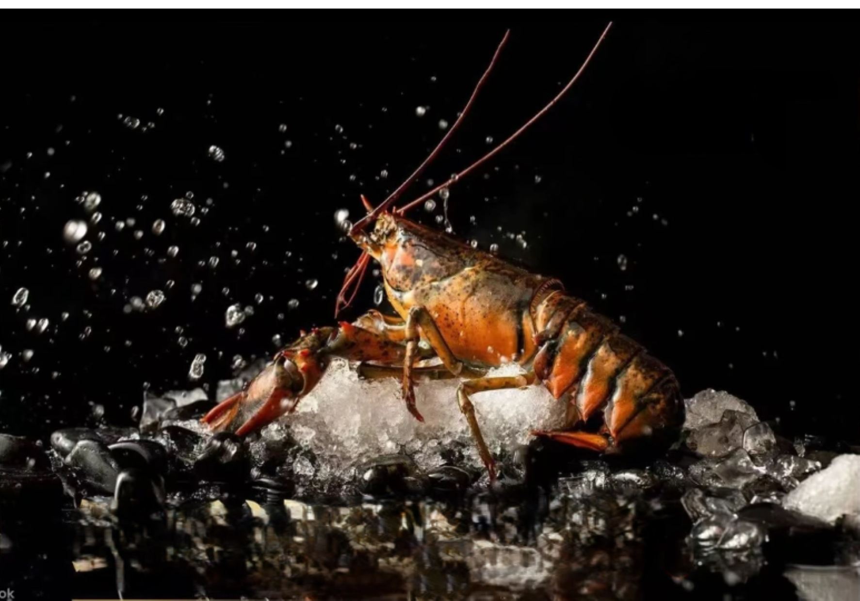 Chengdu IFS Yongronghui Seafood Buffet (Seafood Feast + Luxurious Dining + Premium Service + Elegant Ambience)