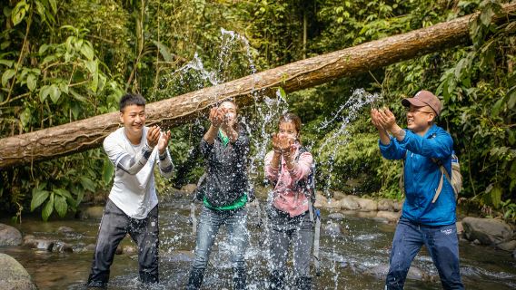 勐遠仙境一日遊【雨林研發/溶洞探秘/健行穿越/奇妙夜遊】