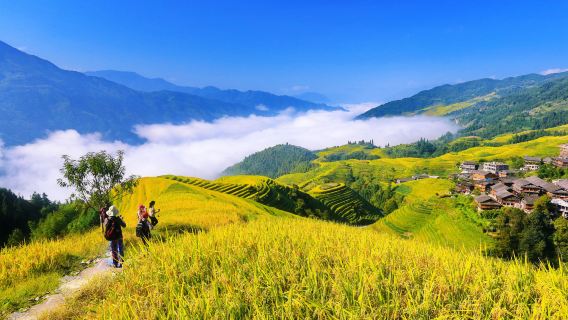 【私家團·包車走高速】桂林龍脊梯田-雙寨(金坑+平安)一日遊