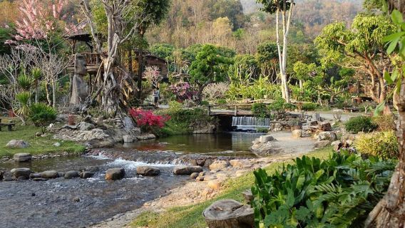 Chiang Mai jungle flight + Giant Tree Coffee + Mae Kampong Village 1-day tour (private charter with Chinese-speaking driver)