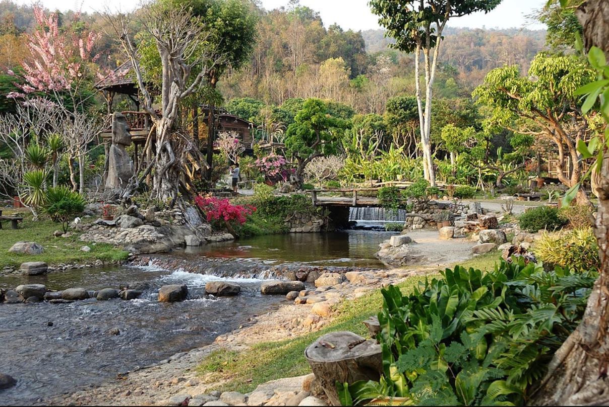 清邁飛躍叢林+巨樹咖啡+泰囧村一日遊（中文司機包車行）