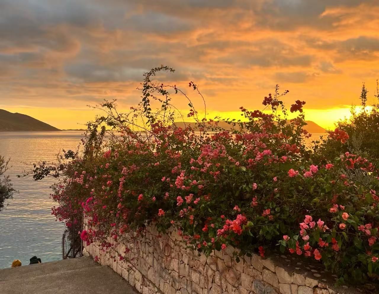 Antalya Fethiye D400 Butterfly Valley Kaş 1-day tour