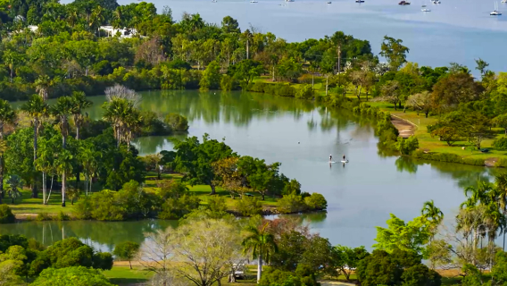 Excursion d'une demi-journée pour découvrir les paysages urbains de Darwin [Service en anglais + départ optionnel le matin/l'après-midi]