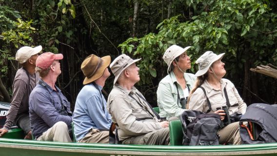 Sandakan: Wild Cruise Ticket in Sunrise, Sunset or Night in Kinabatangan