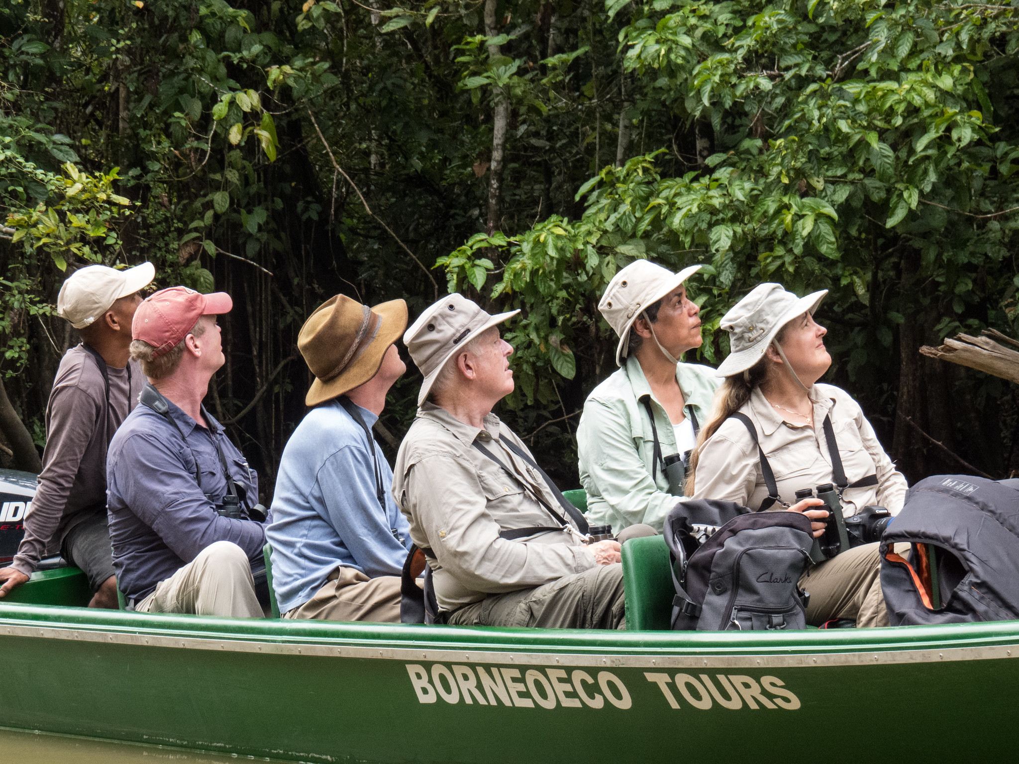 Sandakan: Wild Cruise Ticket in Sunrise, Sunset or Night in Kinabatangan
