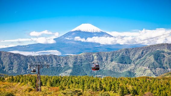 Excursión de un día al monte Fuji y Hakone desde Tokio (opción de regreso en tren bala)