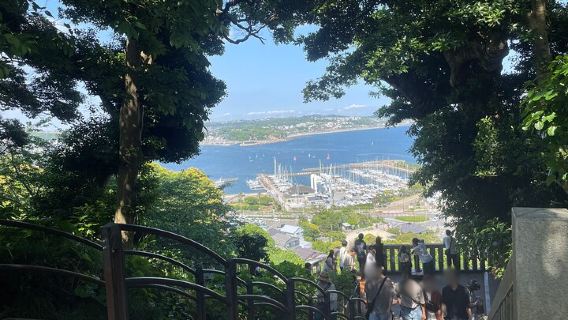 Gourmet Food and Temple Visit tour in Enoshima