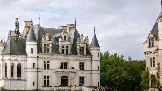 Château de Chenonceau & Chambord: Guided Tour from Amboise + Lunch