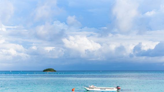 印尼 萬隆 巴淡島 泗水 日惹 地接翻譯 地陪 展會旅遊 導遊 接機