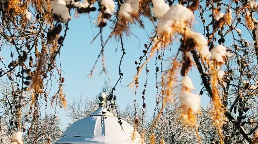 【聖彼得堡】葉卡捷琳娜宮+花園+射擊體驗基地包車一日遊