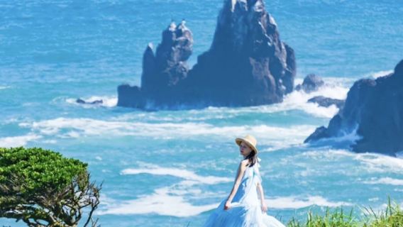 涯月+山茶花之丘+凱蒂貓+挾才海水浴場一日遊【暢遊西線/包車遊】