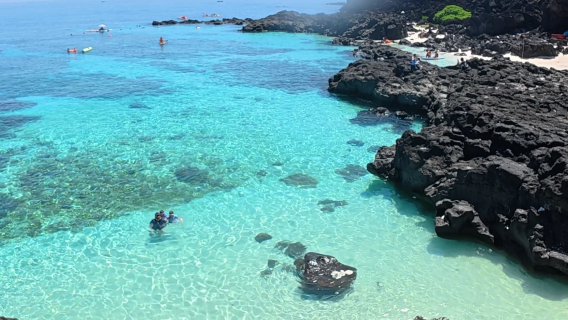 참 아일랜드 (꾸 라오 짬) 당일 치기 여행 + 스노클링 + 해변 수영 + 점심 포함 + 가이드 차량 + 1인부터 예약 가능