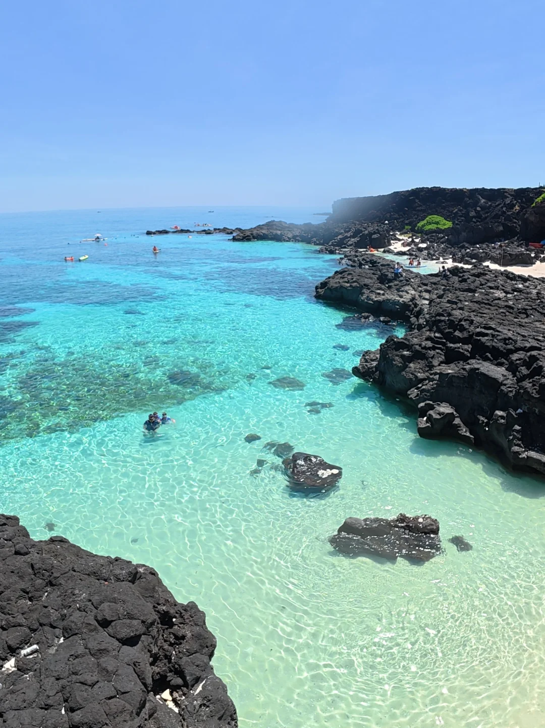 Tour di un giorno alla Riserva naturale di Cu Lao Cham + snorkeling + nuoto in spiaggia + pranzo incluso + guida e trasporto + prenotazione a partire da 1 persona