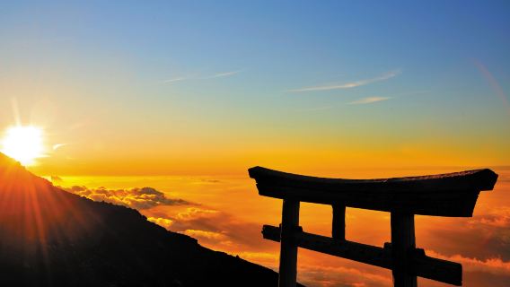 Tokyo Station Shinjuku Station Narita Airport <——> Mount Fuji Kawaguchiko Express Bus Ticket (one-way round-trip)