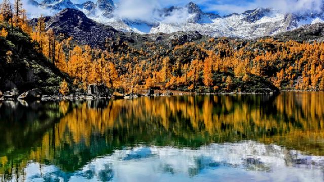 Bipenggou Four Seasons Scenery Day Tour (Departing from Chengdu)