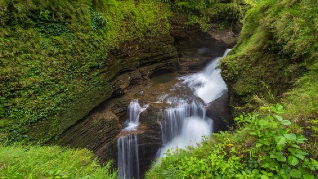 Pokhara Sightseeing-Lokalbus 2026