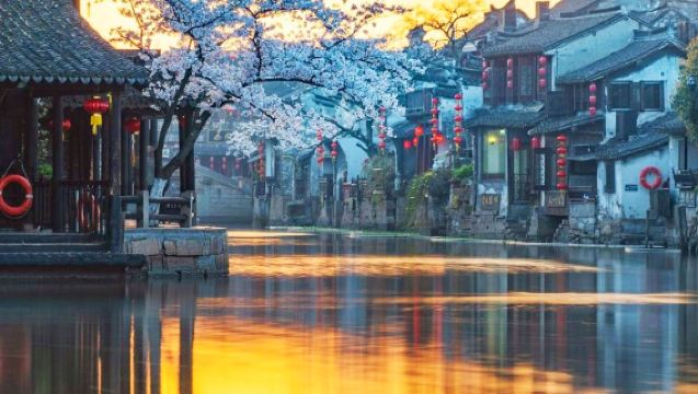 杭州出發：烏鎮東柵西柵/南潯/西塘風景區一日遊【專業導遊】