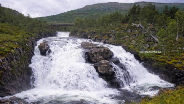 Eidfjord: Shuttle zum Vøringsfossen-Wasserfall & Spaziergang über die Sky Bridge