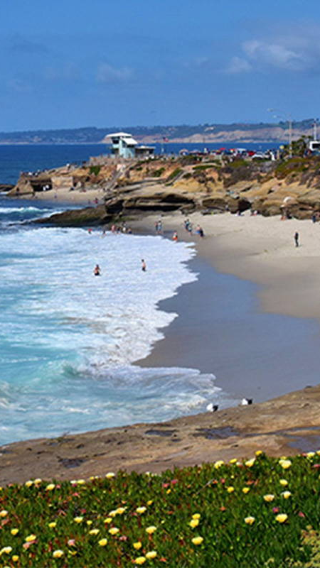 1-day tour to San Diego Zoo + Unconditional Surrender + La Jolla Cove + La Jolla Shores Park