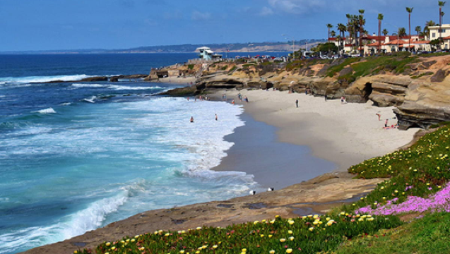 美國聖地亞哥動物園+勝利之吻+拉霍亞海灣+拉霍亞海岸一日遊