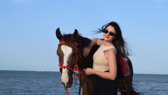 Hurghada : Private Horseback Riding Tour at Sunrise or Sunset