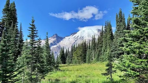 西雅圖來回：雷尼爾山國家公園中文包車一日遊|中文司導