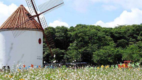 Jeju: Southeast UNESCO Heritage & Mt. Halla Forest Walk
