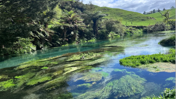 郵輪岸上遊紐西蘭九寨溝|陶朗加+芒格努伊+藍泉|中文包車