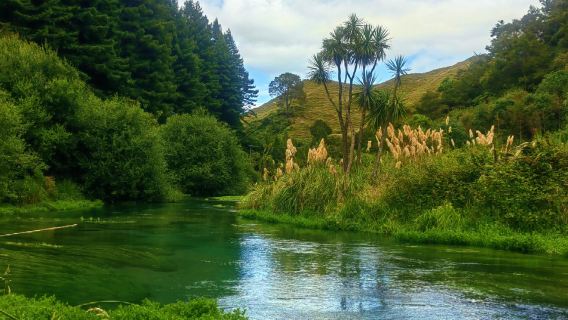 New Zealand [Kampung Hobbit + Mata Air Biru + Gua Kunang-Kunang] Pemandu Tempatan Berbahasa Cina/Pemandu Tempatan Berbahasa Inggeris/Pemandu Berbahasa Cina