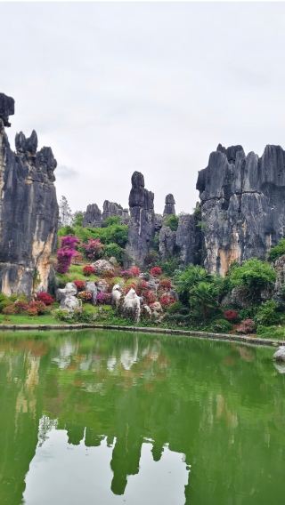 บริการรถส่วนตัวสำหรับอุทยานป่าหินและจิ่วเซียงในคุนหมิง ยูนนาน (ไม่รวมตั๋วเข้า)