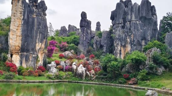Private vehicle service for Kunming Shilin stone forest scenic area and Jiuxiang in Yunnan