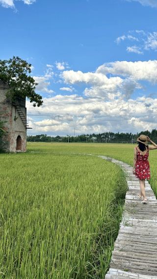 Penang balik pulau 1-day tour - durian orchard + lakeside coffee + paddy field mural + beach sunset