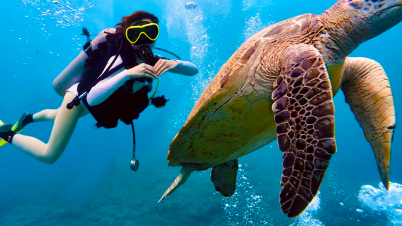 Lawatan Sehari Melompat Pulau di Semporna - Pulau Mataking, Pulau Pom Pom & Timba-Timba dengan Snorkeling/Selam Skuba di Malaysia
