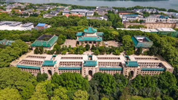 Wuhan University 1-day tour [Optional local Wuhan University guide/private tour guide/vehicle registration]