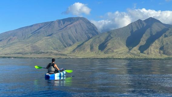 Turtle Town Coastal Kayak & Snorkel: Turtles Guaranteed