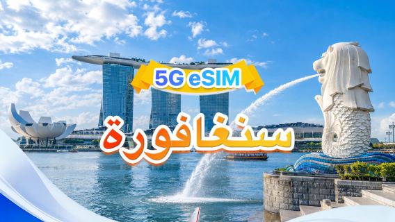 سنغافورة 5G eSIM | شبكتان·يدعم ChatGPT & خرائط Google|500 ميجابايت/يوم-إجمالي 50 جيجابايت |1-30 يومًا|حساب يومي لمدة 24 ساعة|رمز QR