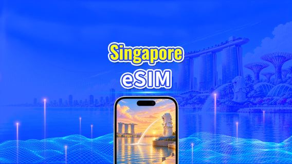 Singapore 4G eSIM | Dual Net | Daily/Total Data Package | 1–30 Days | 24-Hour Billing | QR Code