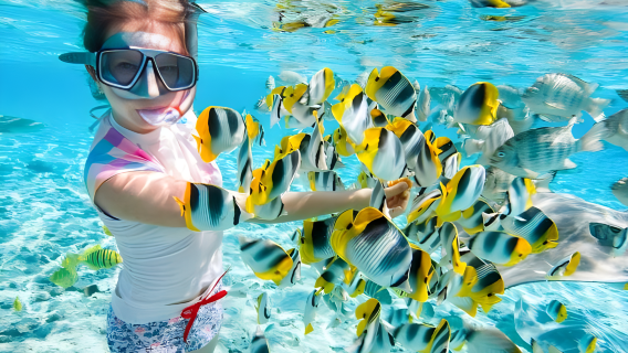 Kumpulan bahasa Cina + makan tengah hari Nha Trang ke laut Pulau Mini, Pulau Tam, Pulau Han Snorkeling/scuba/mandi lumpur