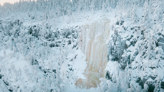 Finlandia, Rovaniemi: Excursión en grupo pequeño al bosque primario + cascadas de hielo + cañón, un paraíso invernal