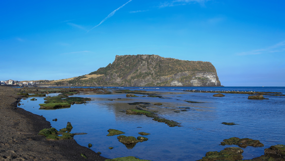 Jeju Island Small Group Day Tour - East