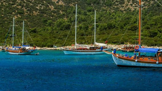 Bodrum: Paseo en barco por la isla de Orak