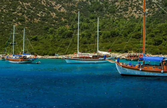 博德魯姆：奧拉克島遊船之旅