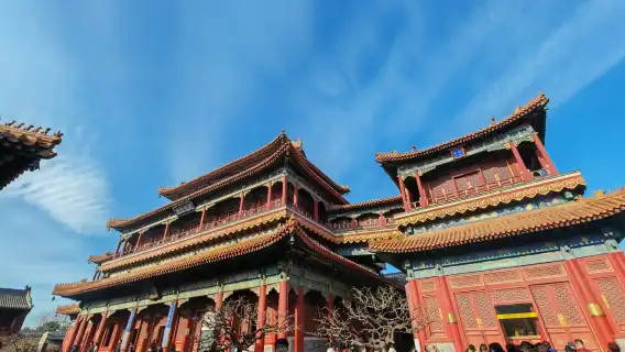 Unveiling Beijing's Spiritual Treasures: A Private Tour of Lama Temple & Temple of Heaven