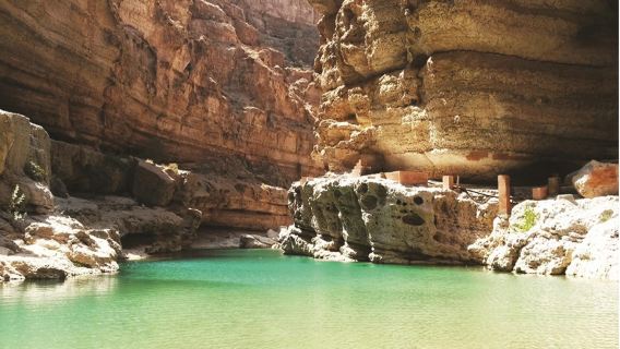 From Muscat Shared Tour: Full Day Discover the South & Wadi Shab