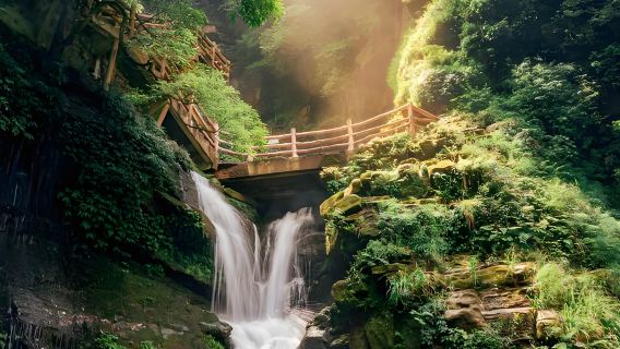 From Chengdu: Bifengxia 1-day tour(private charter)