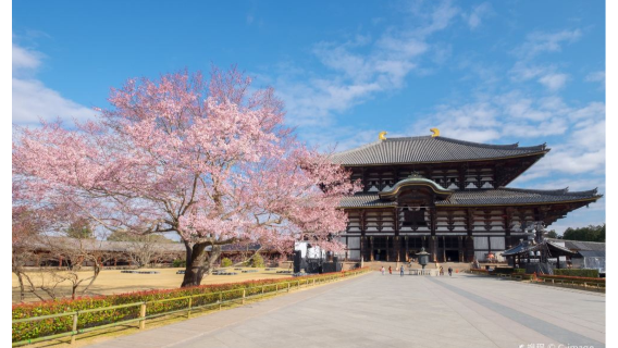 安藝市日遊