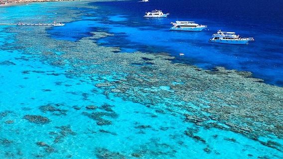 Sharm El SheikhExperiences