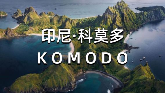 科莫多快艇普通話小團一日遊：帕達爾+粉紅沙灘+科莫多島+海龜島